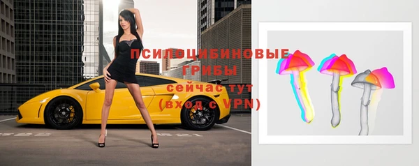 трава Абаза