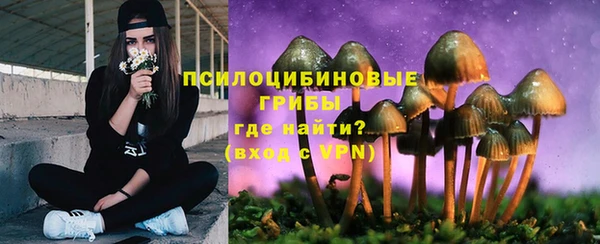 трава Абаза