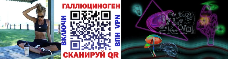 Псилоцибиновые грибы Psilocybe  Уржум 